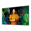 Аренда дисплея 75" Samsung QM75C
